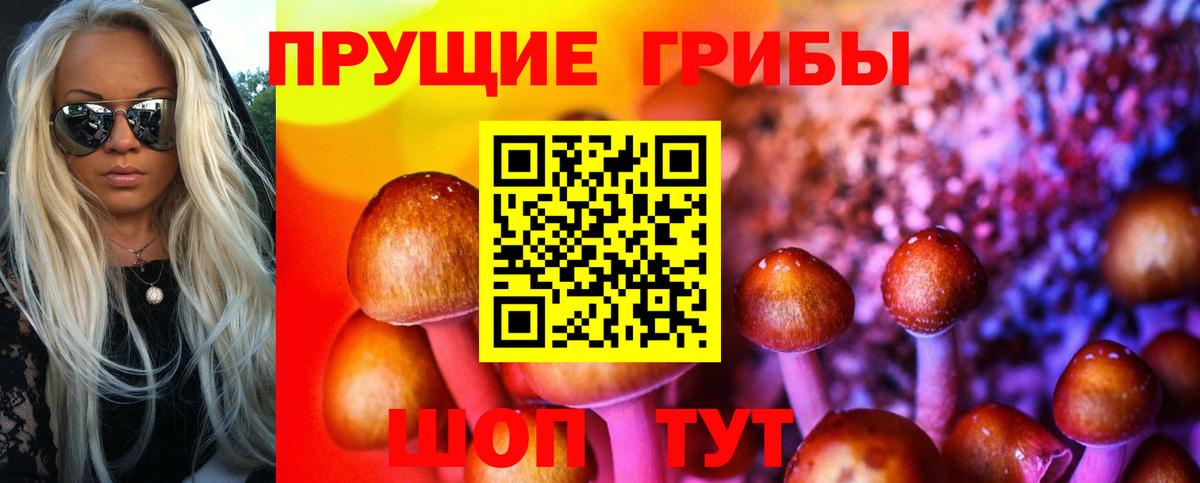 Галлюциногенные грибы GOLDEN TEACHER  Вход с VPN  Вологда 